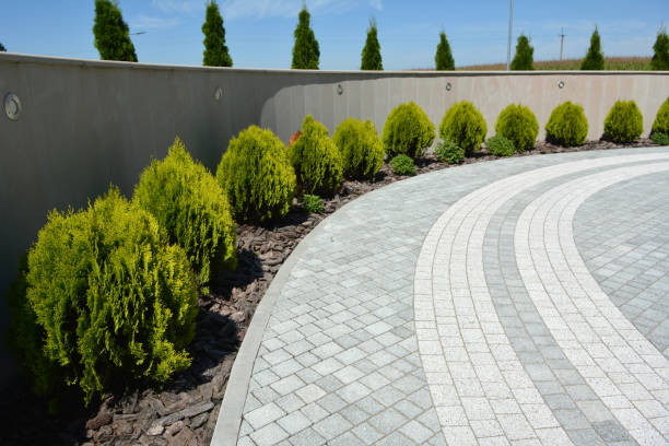 Best Decorative Driveway Pavers  in Inez, TX